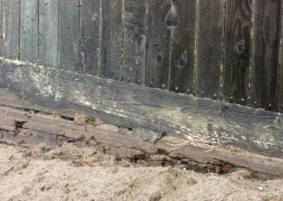 Fence